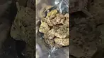 Ripped off Runtz UK medical (jealousy x runtz)  QUICK REVIEW IN COMMENTS