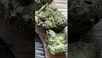 #peacenaturals gmo cookies 30%thc1%cbd #medicalcannabis #medbud #ukmedicalcannabis #medicated