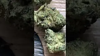 #peacenaturals gmo cookies 30%thc1%cbd #medicalcannabis #medbud #ukmedicalcannabis #medicated