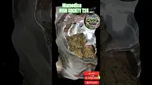 Medical 420 Video Thumbnail