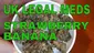 Video Thumbnail: Smacksalad