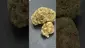 Video Thumbnail: Smokey Mo