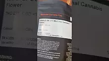 DumbYout Video Thumbnail
