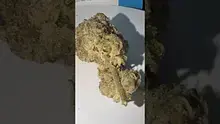 Medi Blaze Video Thumbnail