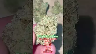 KK T25 King's Kush Medical Strain Review #420 #cbd #strainreviews #medicalcannabis #uk #fyp