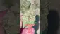 Video Thumbnail: BabyzBudz
