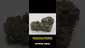 Video Thumbnail: HighStandards420