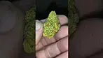 Pucker up  29%THC.  Medical prescription cannabis from 4CLabs