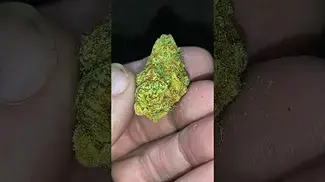 Pucker up  29%THC.  Medical prescription cannabis from 4CLabs