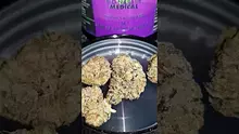 Mary Jane Media 420 Video Thumbnail