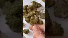 High Jack Video Thumbnail