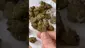 Video Thumbnail: High Jack