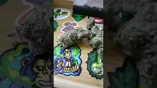 All Nations Tropic Thunder T28 UK medical flower