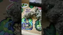 VIP THC Video Thumbnail