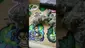 Video Thumbnail: VIP THC