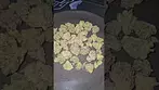 Curaleaf GMO x ZKZ UK Medical Flower First Impressions