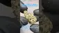 Video Thumbnail: Review Budd