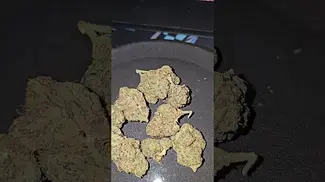 OG Kush Breath Good Supply Reserve UK Medical Flower First Impressions