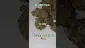 Video Thumbnail: HighStandards420