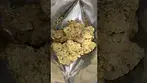 Pave S1 (The Menthol x Paris OG)