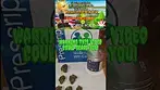 Lemon Cherry Gelato Glass Pharms medical cannabis Microscopic View