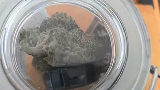 London Marker - Mochi Gelato - LA Baker - Humidity Control - Perfect for my liking. 62% Boveda