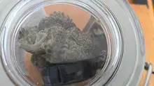Vinnie's Lounge Video Thumbnail