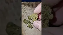 Green Script Reviews Video Thumbnail