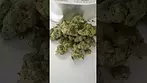 EastCann Strawberry Pavé T31  #medicalcannabis #ukmedicalcannabis