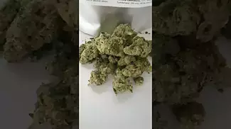 EastCann Strawberry Pavé T31  #medicalcannabis #ukmedicalcannabis