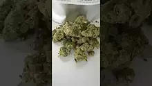 Medical UK Cannabis Video Thumbnail