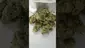 Video Thumbnail: Medical UK Cannabis