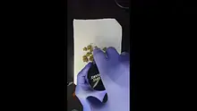 Buds Lullaby UK Video Thumbnail
