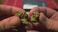 Punkz Emporium Video Thumbnail
