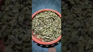 Glitter Bomb 21%THC by Glass Pharma.
