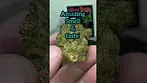 Frozen Fist by Tyson 2.0...26%THC... Medical cannabis
