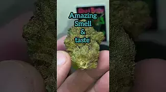 Frozen Fist by Tyson 2.0...26%THC... Medical cannabis