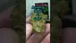 Video Thumbnail: THC Bunny