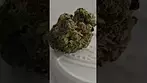 Chapel of love 30% THC
