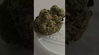 Chapel of love 30% THC