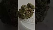 Keep Blazing Stay Amazing Video Thumbnail