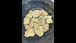 BIG NARSTIE MEDICAL GORILLA KUSH  #medicalcannabis #bignarstie #alternaleaf #cannabisdaily