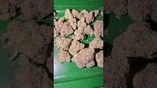 Big Narstie medical rainbow sherbert uk medical  #uk #medical #patient #youtubeshorts #flowers