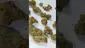 Video Thumbnail: UKTHC