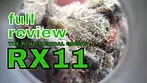 RX11 | The Plug Medical Group, Celadon, Linneo Health & Takoda One | FULL REVIEW