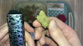  4C LABS | SUDZ | UNOPENED |  UK MEDICAL CANNABIS PATIENT FLOWER REVIEW 2025