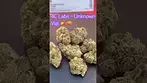 4C Labs ~ Unknown Vial T20 Review
