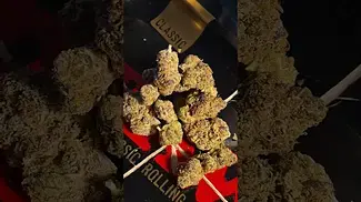 Craft Botanics Gelonade. THC 27%