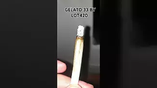 Gelato 33 by lot420 (how it smokes)