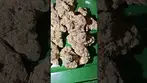 4c labs banana daddy  #uk #medical #patient #youtubeshorts #flowers